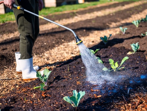 Jardinería a domicilio en Viladecans