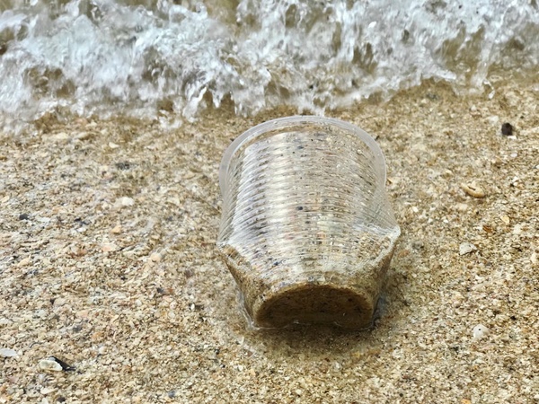 La contaminació de l'aigua a nivell mundial