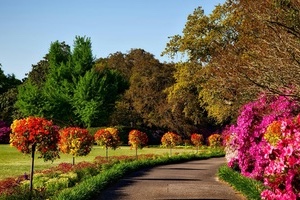 Como diseñar un jardín en función de su tamaño