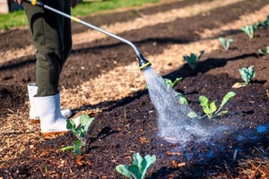 Jardinería a domicilio en Viladecans